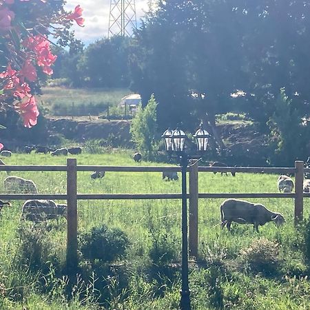 Le Studio D Aurelie Avec Spa Ete En Pleine Campagne Et Proche De Toute Commodite Roquemaure  Εξωτερικό φωτογραφία