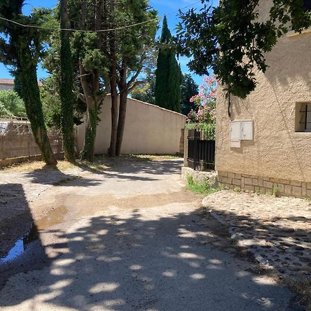 Le Studio D Aurelie Avec Spa Ete En Pleine Campagne Et Proche De Toute Commodite Roquemaure  Εξωτερικό φωτογραφία
