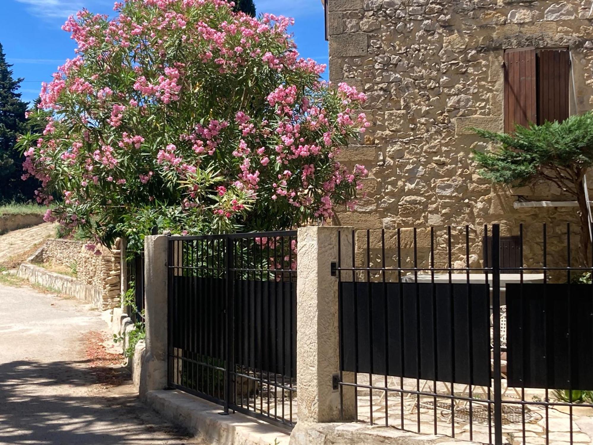 Le Studio D Aurelie Avec Spa Ete En Pleine Campagne Et Proche De Toute Commodite Roquemaure  Εξωτερικό φωτογραφία