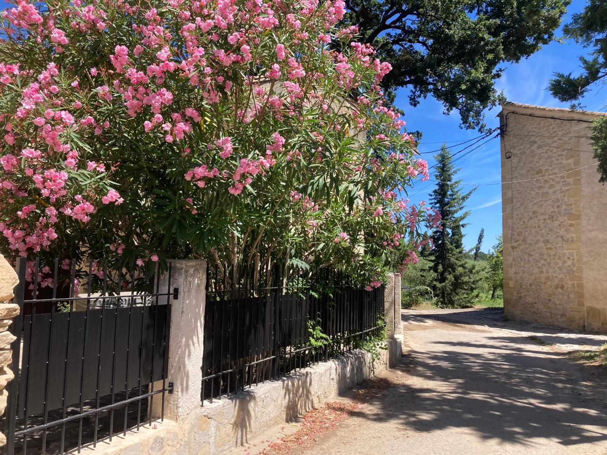 Le Studio D Aurelie Avec Spa Ete En Pleine Campagne Et Proche De Toute Commodite Roquemaure  Εξωτερικό φωτογραφία